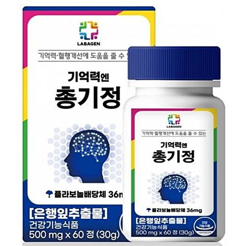 기억력엔 총기정
