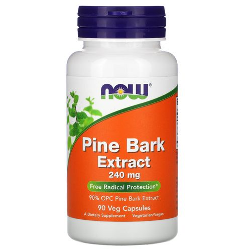 파인 바크 240mg