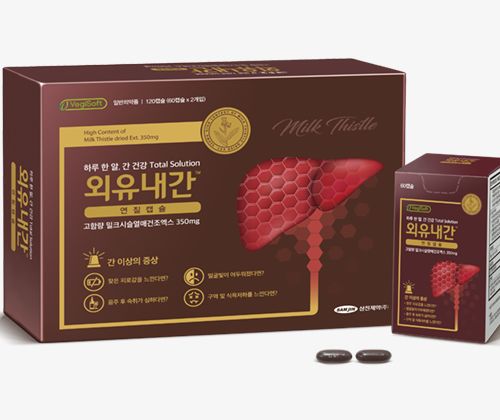 외유내간