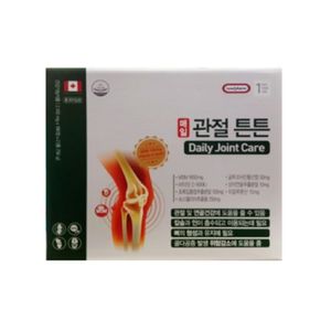 매일 관절 튼튼