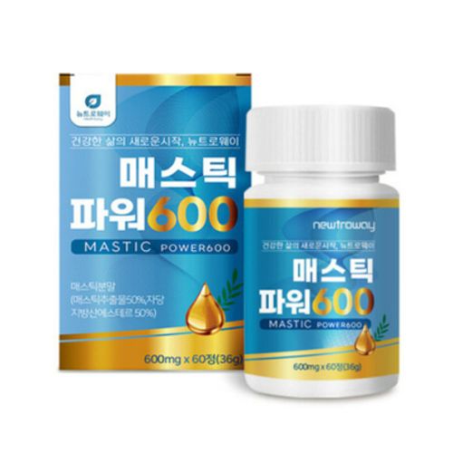 매스틱 파워600