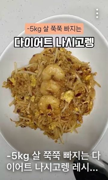 다이어트 나시고렝의 썸네일