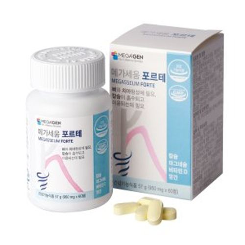 메가세움 포르테