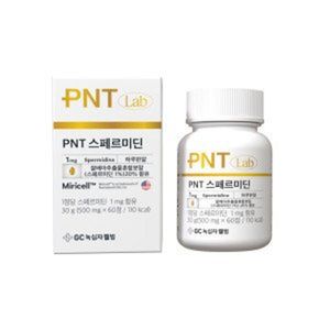 PNT 스페르미딘