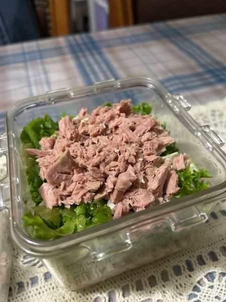 참치두부비빔밥의 썸네일
