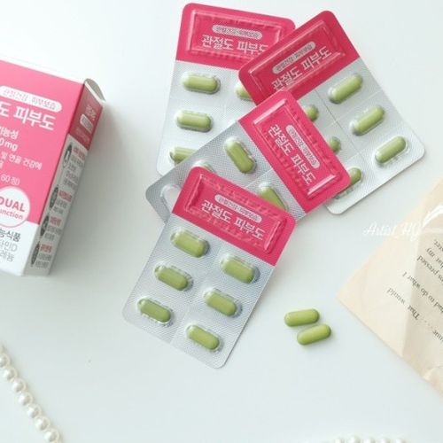 케이뉴트라 관절도 피부도