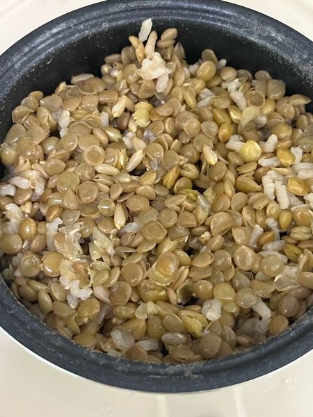 低速老化ご飯ㅇのサムネイル