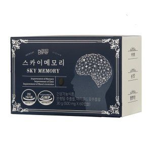 스카이메모리