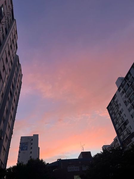 간장소스🥣의 썸네일