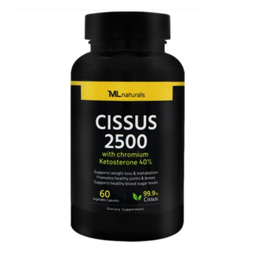 시서스 2500