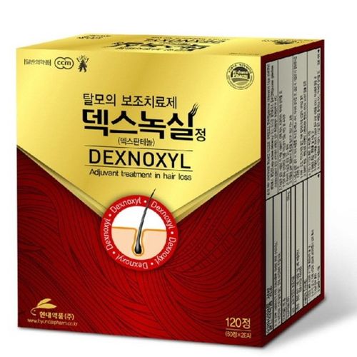 덱스녹실정
