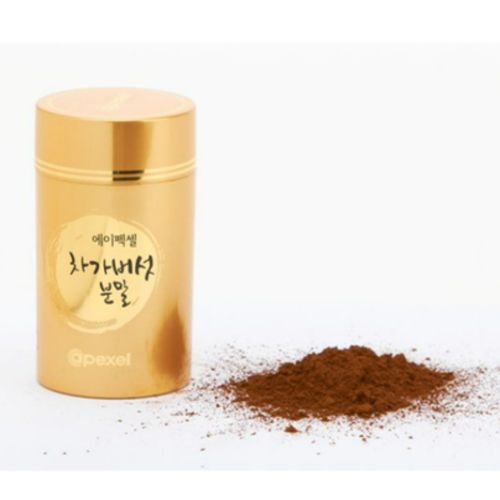 차가버섯분말