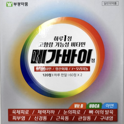 메가바이정