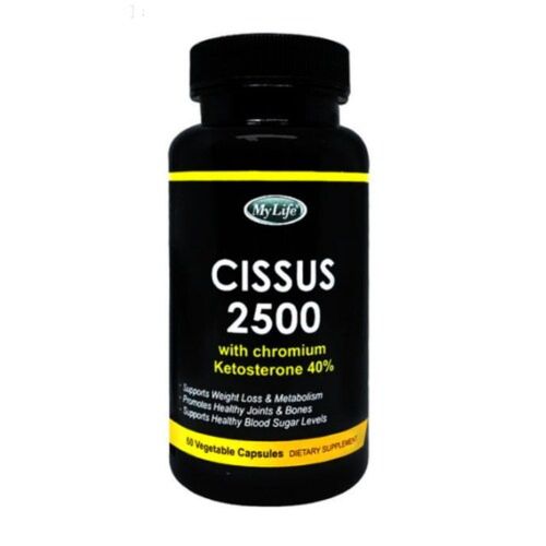 시서스 2500