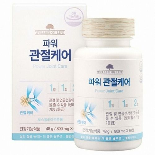 웰빙라이프 파워 관절케어