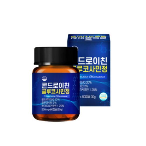콘드로이친 글루코사민정