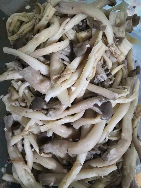 🍄‍🟫 느타리버섯 무침의 썸네일
