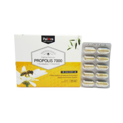 프로폴리스 7000