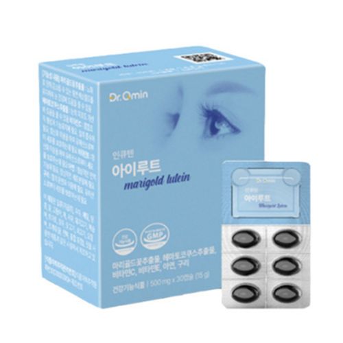 아이루트