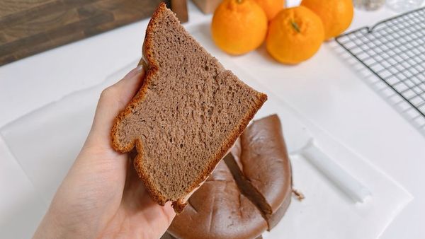 프로틴 쉬폰(수정)의 썸네일