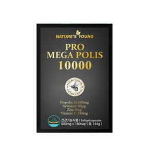 프로메가폴리스 10000