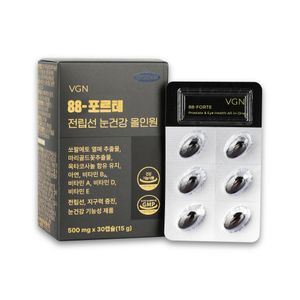88포르테