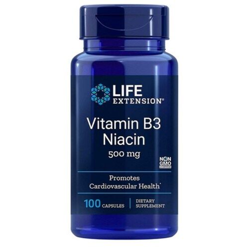 비타민 B3 나이아신 500mg