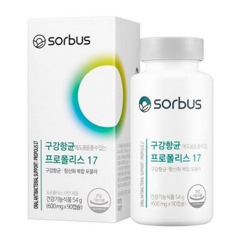 구강항균 프로폴리스 17