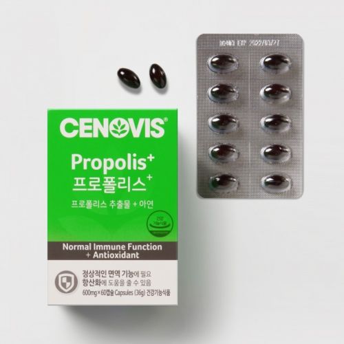 프로폴리스+