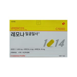 레모나일공일사정