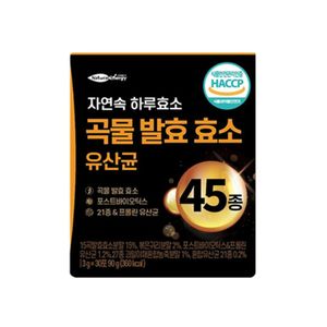 곡물 발효 효소 유산균