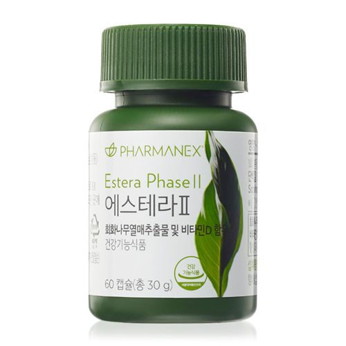 에스테라2