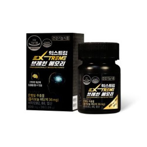 브레인 메모리