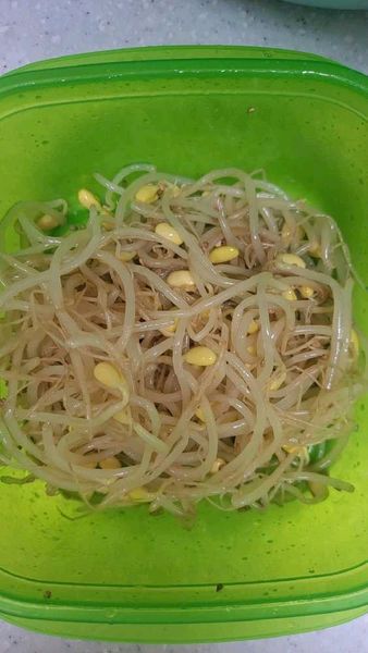 ミニョンのセレクション　もやしナムルのサムネイル