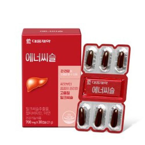 에너씨슬