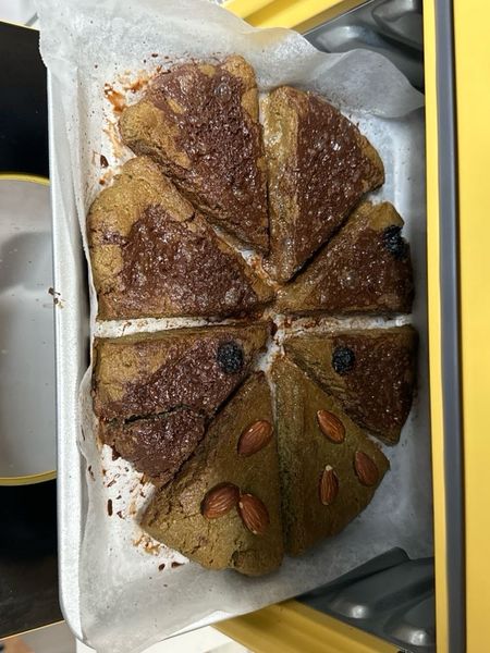 스콘의 썸네일