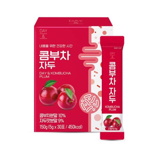 데이앤 콤부차 자두