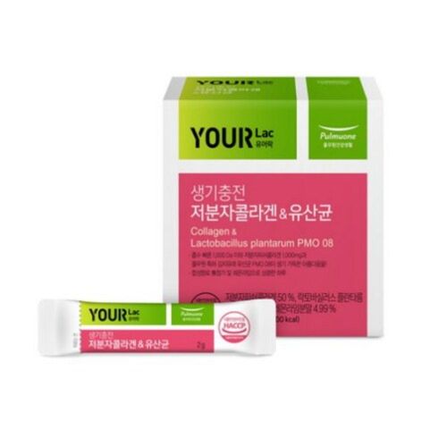 생기충전 저분자콜라겐 앤 유산균
