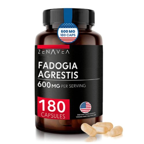 파도기아 아그레스티스 600mg