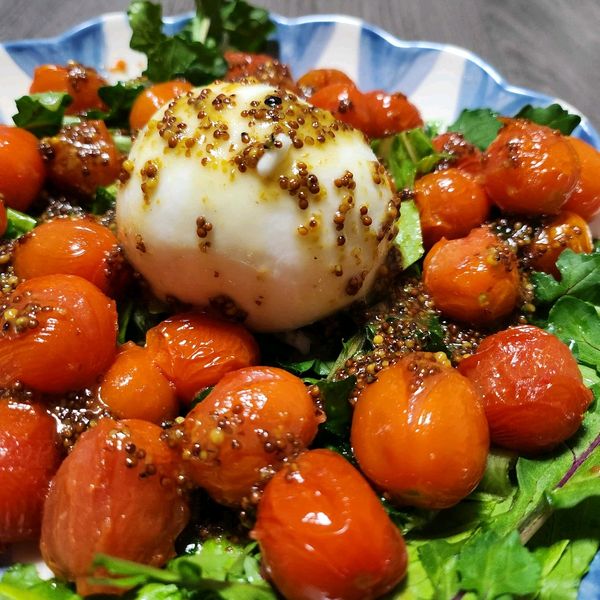 Thumbnail of Grilled Tomato Burrata Salad