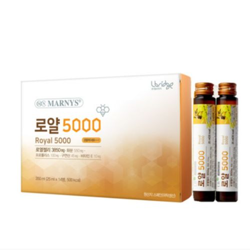 로얄 5000