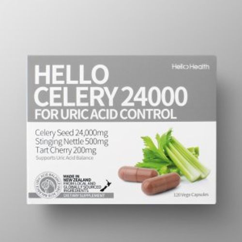 샐러리 24000