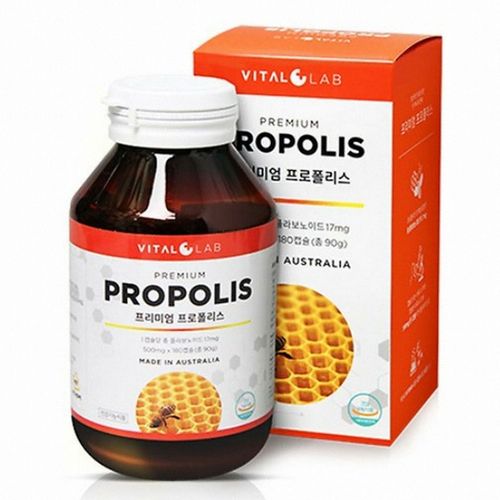 프리미엄 프로폴리스