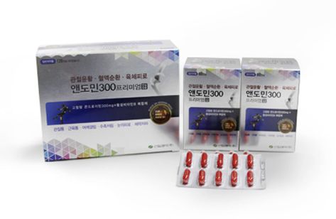 앤도민300프리미엄