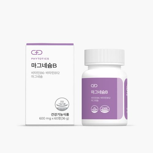마그네슘B