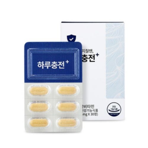 하루충전