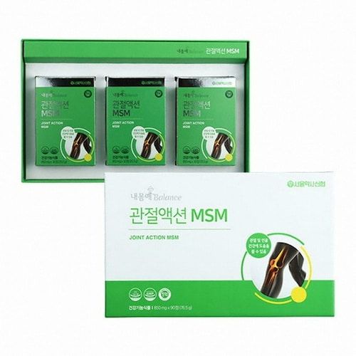 내몸애 발란스 관절액션 MSM