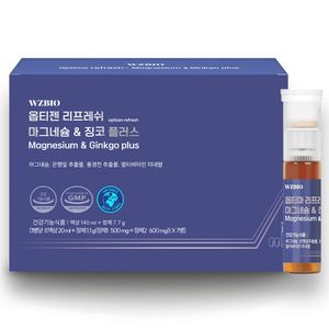 옵티젠 리프레쉬 마그네슘&징코 플러스