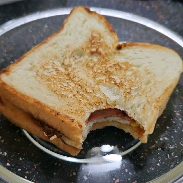 샌드위치🥪 의 썸네일