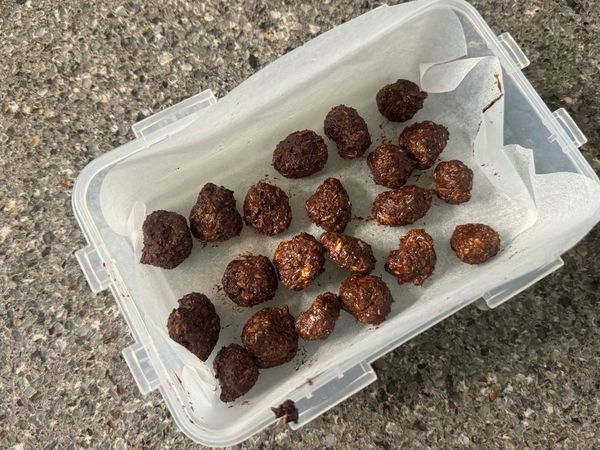 オートミールチョコボールのサムネイル